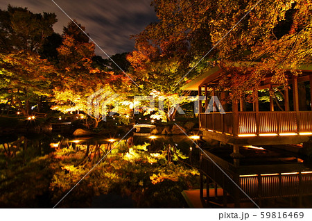 大田黒公園の紅葉ライトアップ 大田黒公園の紅葉ライトアップ 59816469