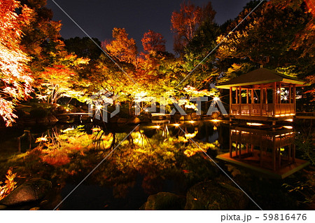 大田黒公園の紅葉ライトアップの写真素材