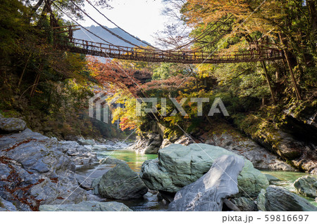 祖谷のかずら橋 59816697