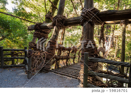 祖谷のかずら橋 59816701