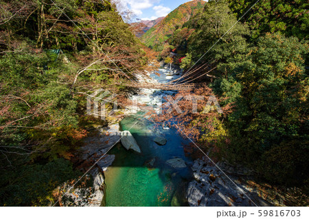 祖谷のかずら橋 59816703
