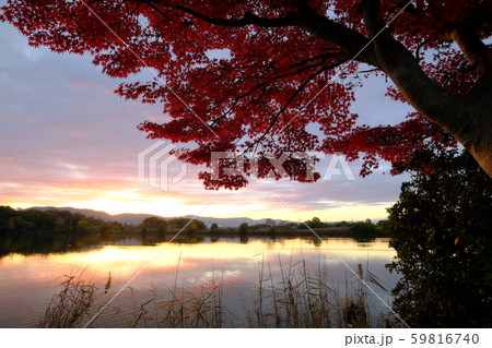 水上池の紅葉と夜明け（奈良市佐紀町） 59816740