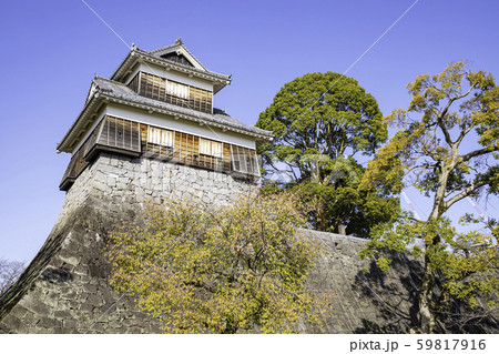 今こそ見に行く価値がある熊本城 秋の未申櫓（2019年11月16日撮影） 59817916