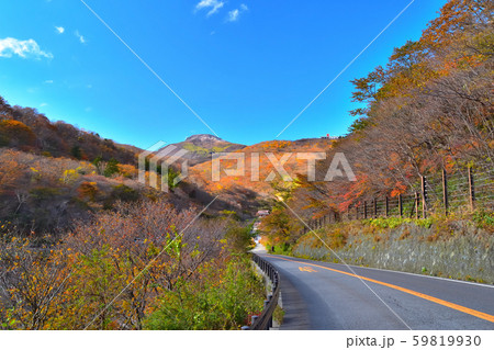 秋の紅葉に染まる那須高原 秋の紅葉に染まる那須高原 59819930