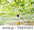 少年のぶどう狩り 59820263