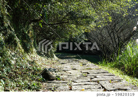 梁 ビーム 煌く 59820319