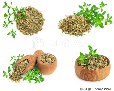 Set or collection dried thyme leaves with fresh thyme isolated on white background Set or collection dried thyme leaves with fresh thyme isolated on white background 59823998