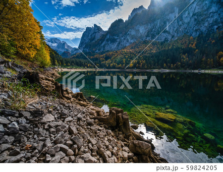 Tree stumps near Gosauseen or Vorderer Gosausee Tree stumps near Gosauseen or Vorderer Gosausee 59824205