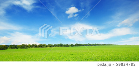 Fresh spring clover field 59824785