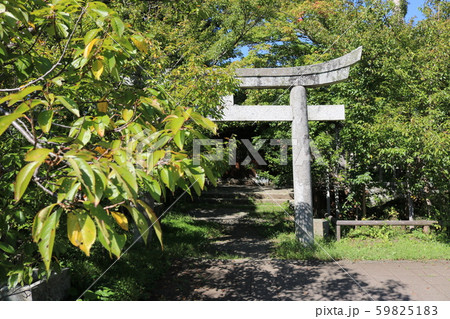 ■ 高遠城 ■ 藤原神社 ■ 案内板 ■ 武田勝頼、仁科盛信 ■ 長野県  59825183