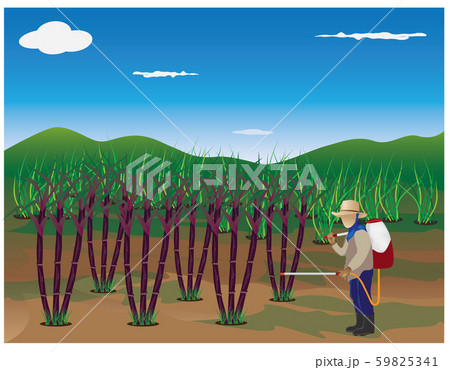 agriculturist sprays sugar cane plant vector design 59825341