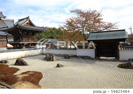 山口 常栄寺 庭園 紅葉 山口 常栄寺 庭園 紅葉 59825464