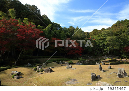 山口　常栄寺　庭園　紅葉 59825467