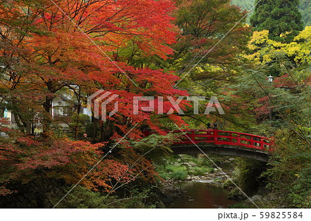 山口県 長門 大寧寺 虎渓橋 紅葉 山口県 長門 大寧寺 虎渓橋 紅葉 59825584