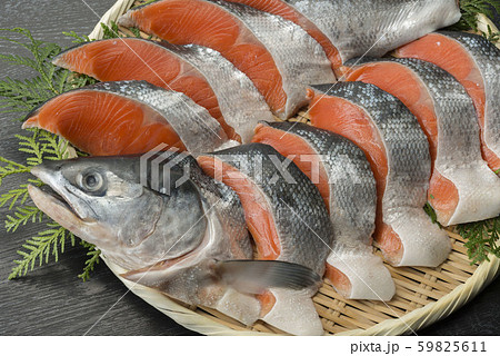 鮭の切り身 59825611