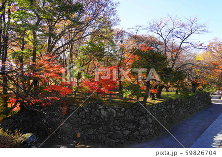 11月 小諸09南の丸跡の紅葉・小諸城(懐古園) 11月 小諸09南の丸跡の紅葉・小諸城(懐古園) 59826704