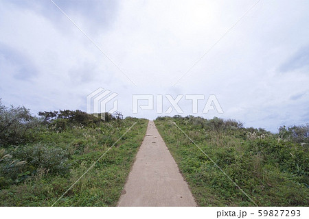 知夫村の島津島（島根県隠岐郡知夫村） 59827293
