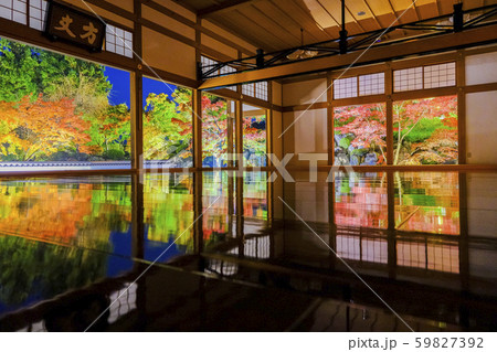 床に映るもみじ１ 59827392