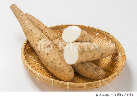 新鮮で美味しい長芋 59827845