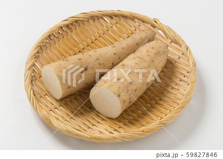 新鮮で美味しい長芋 59827846