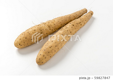 新鮮で美味しい長芋 59827847