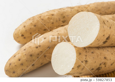 新鮮で美味しい長芋 59827853