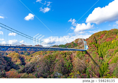 竜神大吊橋 竜神峡 紅葉 秋の写真素材