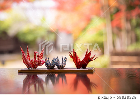 鶴の折り紙 紅葉イメージ 鶴の折り紙 紅葉イメージ 59828528