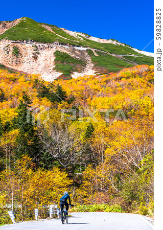 《長野県》紅葉の乗鞍岳・自然風景 《長野県》紅葉の乗鞍岳・自然風景 59828825