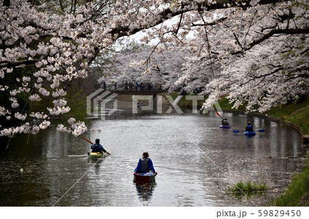 福岡堰さくら公園堰 福岡堰さくら公園堰 59829450