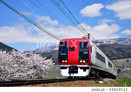 長野電鉄　桜 59829512