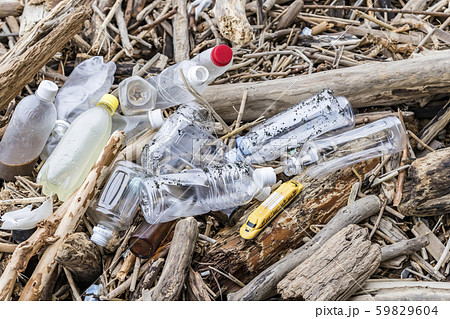 【プラスチック　環境問題】 59829604