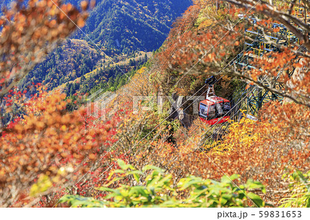 御在所岳　秋　紅葉 59831653