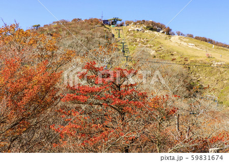 御在所岳　秋　紅葉 59831674