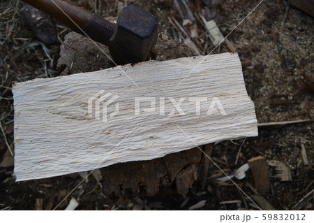 シラカシの薪 59832012