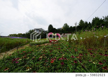農場 フル 自然 59832023