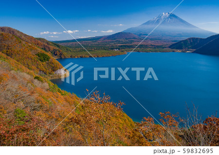 【富士山】　中ノ倉峠　本栖湖　秋　 59832695