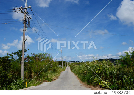 電柱のある田舎の一本道 電柱のある田舎の一本道 59832786