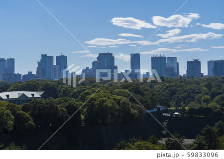 【都市風景】　都会のビル群と緑 59833096