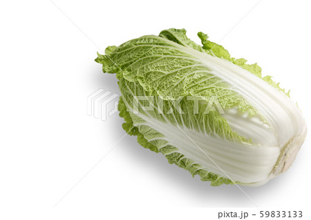 白菜 白菜 59833133