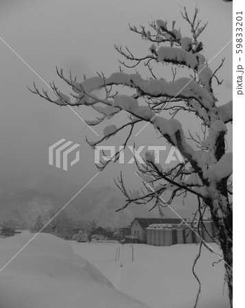 冬 雪景色 冬 雪景色 59833201