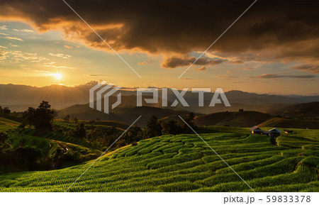 Terraced Rice Field Terraced Rice Field 59833378