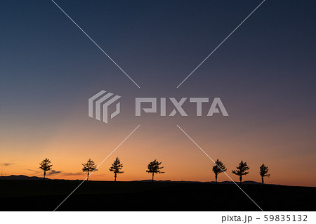 メルヘンの丘 59835132