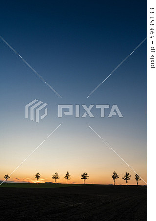 メルヘンの丘 59835133