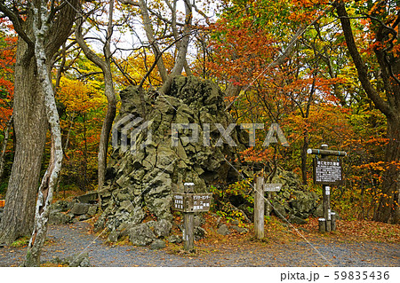 十和田湖　休屋　紅葉 59835436