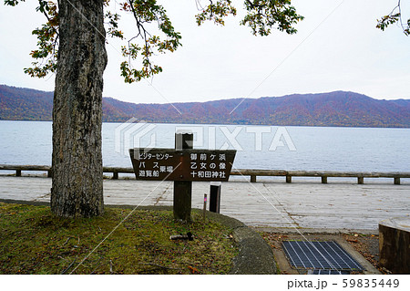 十和田湖　休屋　紅葉 59835449