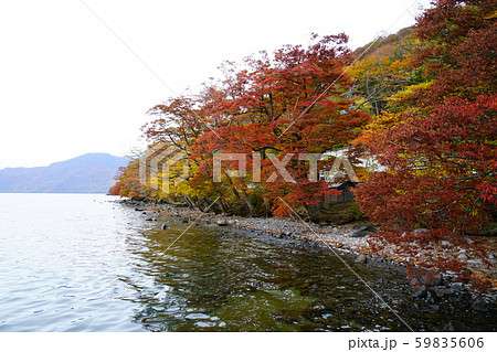 十和田湖 子ノ口 紅葉 十和田湖 子ノ口 紅葉 59835606