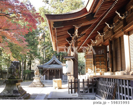 多田神社 59835993