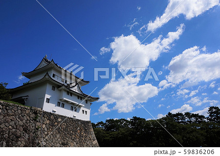 名古屋城　西南隅櫓　未申櫓　天守閣　金のシャチ　なごやじょう　Nagoya Castle　重要文化財 59836206
