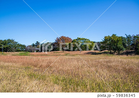 山口貯水池　狭山湖　狭山丘陵 59836345